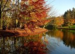 Пазл - Осенний парк
